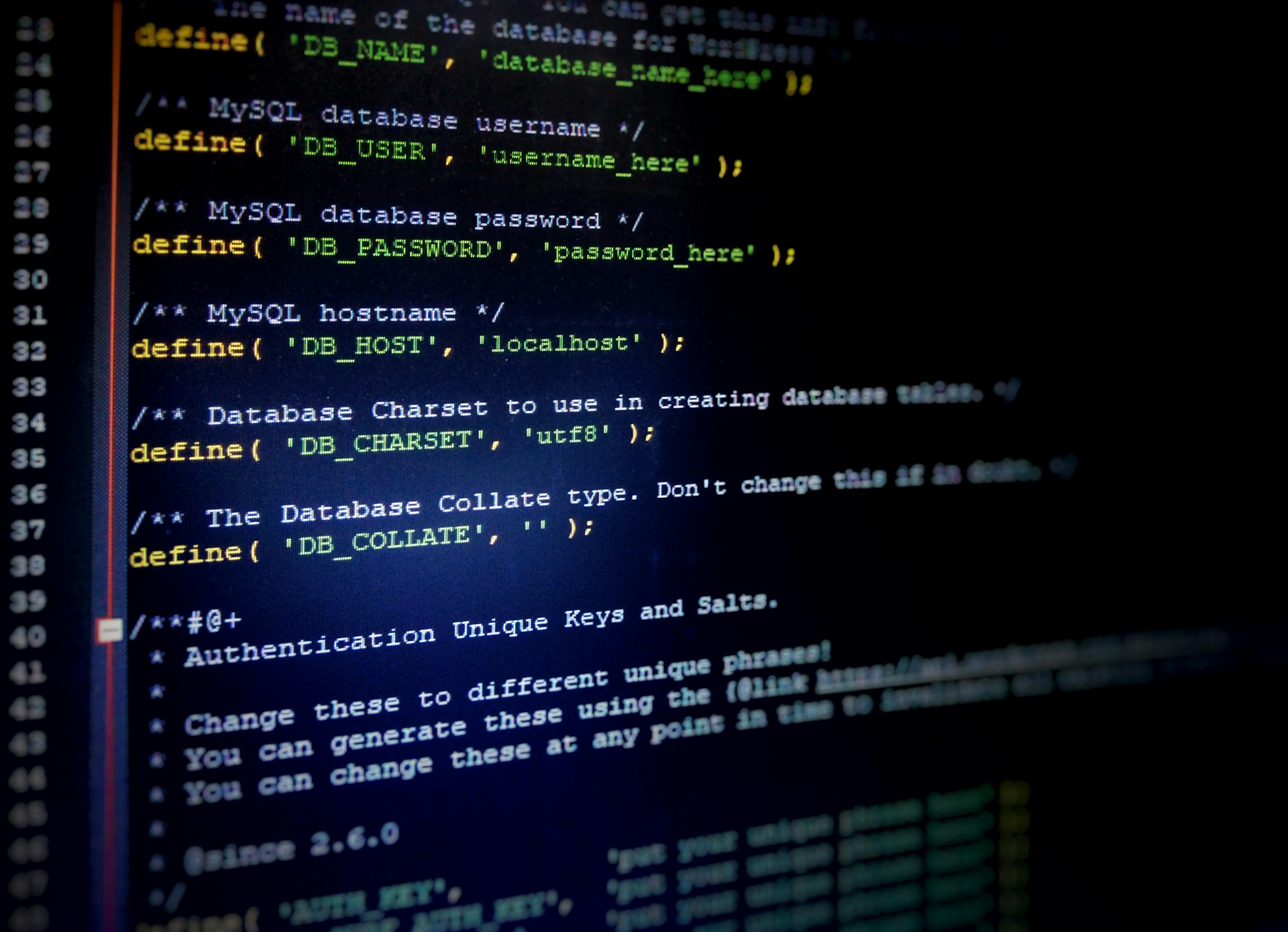 Custom Software Development